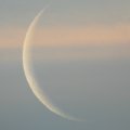 Moon at sunrise