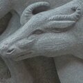 Laozi's water buffalo in stone