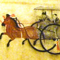 A cartoon of an expert charioteer